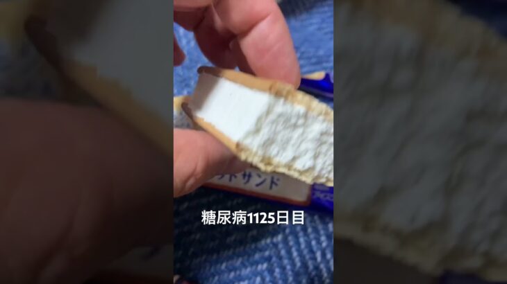どうしてもビスケットサンドが食べたかった糖尿病1125日目