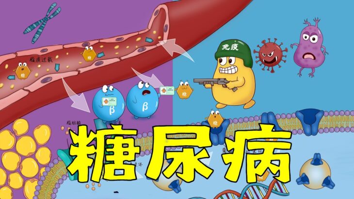 手绘精讲 | 糖尿病1型和2型发病机制 | 西医糖尿病机制完整研究笔记