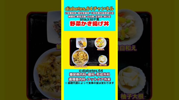 【野菜かき揚げ丼】 塩分は1日5g#2型糖尿病#CKD#ASO#狭心症#白内障#食事療法#自炊記録#提出用画像
