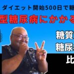 (第１０回)２型糖尿病にかかる費用、糖質制限と糖尿病薬　比較/食事記録と糖質制限で185kgから85kg迄100kg減量＆２型糖尿病は寛解チャンネル