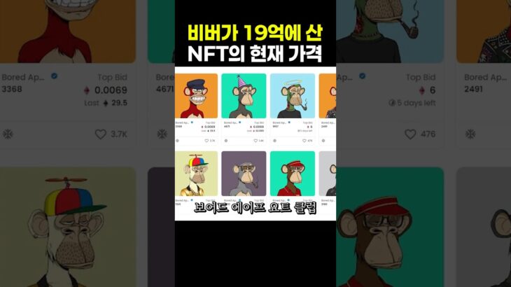 비버가 19억에 산 NFT의 현재 가격