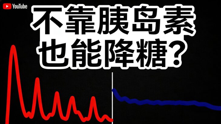 2 型糖尿病运动控糖完整策略：为什么饭后运动比吃药更关键？