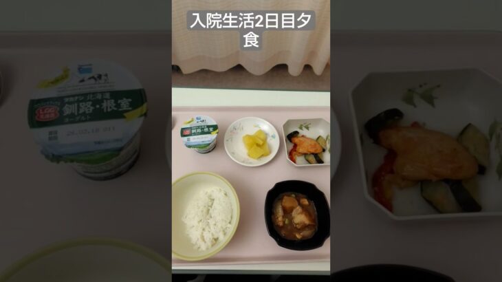 【糖尿病悪化】入院生活2日目の夕食　#飯テロ #入院生活 #糖尿病