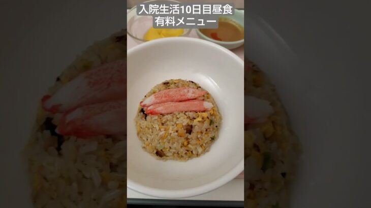 【糖尿病】医師から有料メニュー食べる様指示された2026年入院生活10日目昼食 #飯テロ #糖尿病 #入院
