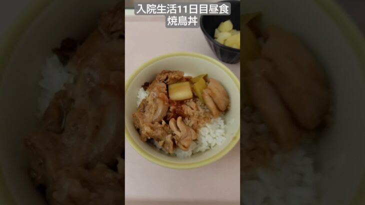 【糖尿病】焼鳥丼の存在感よ！2026年入院生活11日目昼食 #飯テロ #糖尿病 #入院