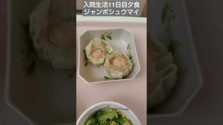 【糖尿病】ジャンボシュウマイデカすぎ！2026年入院生活11日目夕食#飯テロ #糖尿病 #入院 #料理