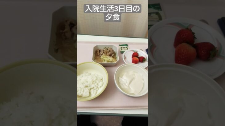【糖尿病悪化】2026年入院生活3日目の夕食 #飯テロ #糖尿病 #入院