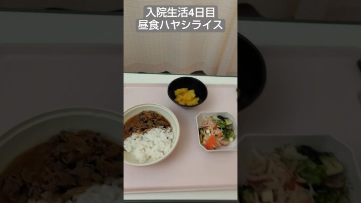 【糖尿病】2026年入院生活4日目の昼食ハヤシライス #飯テロ #糖尿病 #入院