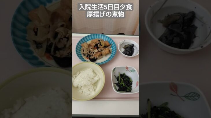 【糖尿病】2026年入院生活5日目夕食厚揚げの煮物 #飯テロ #糖尿病 #入院