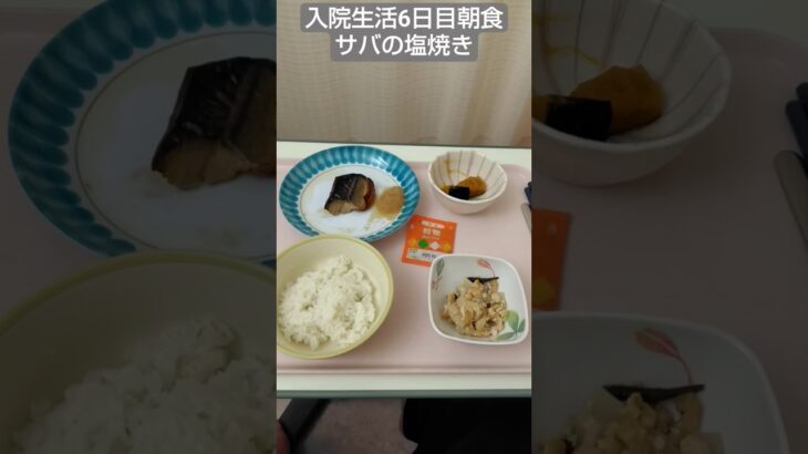 【糖尿病】2026年入院生活6日目朝食サバの塩焼き #飯テロ #糖尿病 #入院