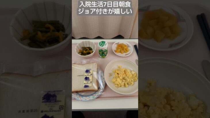 【糖尿病】2026年入院生活7日目朝食 パンと炒り卵 #飯テロ #糖尿病 #入院