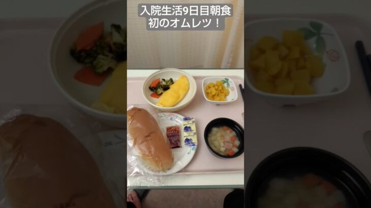 【糖尿病】オムレツキター！2026年入院生活9日目朝食 スープも初めてついた記念 #飯テロ #糖尿病 #入院