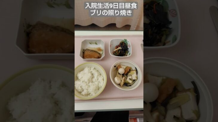 【糖尿病】ブリの照り焼きが沁みる2026年入院生活9日目昼食 #飯テロ #糖尿病 #入院