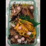 #3:00#糖尿病弁当#息子弁当#娘弁当#娘手作り弁当#肉じゃが風煮物弁当#shorts