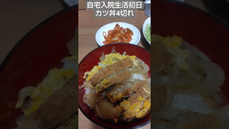 【糖尿病】退院後最初の夕食カツ丼4切れ　#飯テロ #自炊 #糖尿病 #グルメ好き