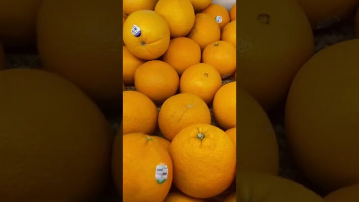 당뇨병 환자에게 해로운 과일 4가지 종류.