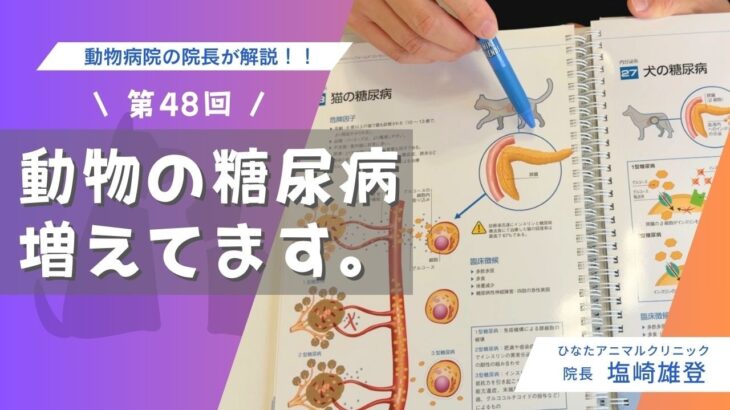 第48回「動物の糖尿病、増えてます。」