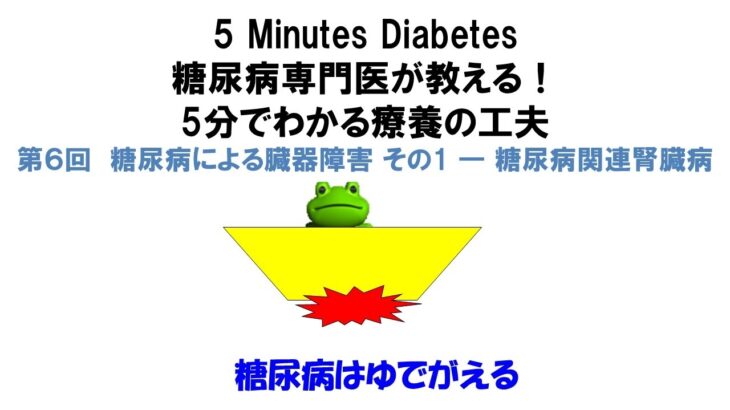 糖尿病専門医が教える！5分でわかる療養の工夫　第6回　糖尿病による臓器障害 その1 ― 糖尿病関連腎臓病