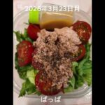 たまには凝らずに#5:30#糖尿病弁当#パパ弁当#卵そぼろと照り焼きチキン弁当#shorts