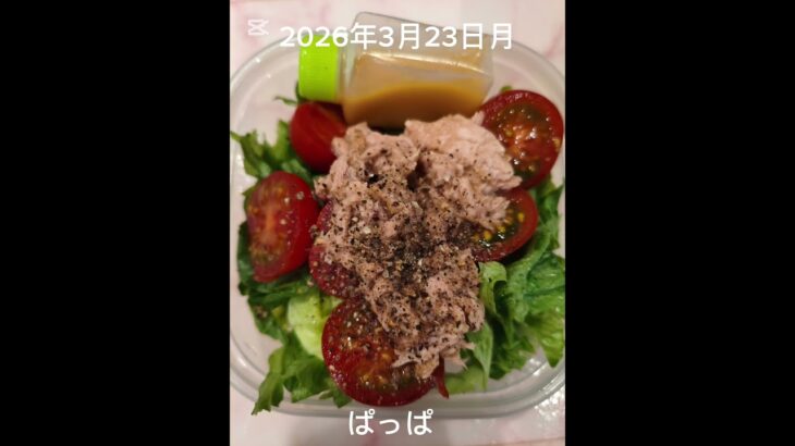 たまには凝らずに#5:30#糖尿病弁当#パパ弁当#卵そぼろと照り焼きチキン弁当#shorts