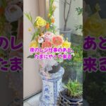 【糖尿病より怖い】のは、夜のこの時間  #60代  #シニアライフ