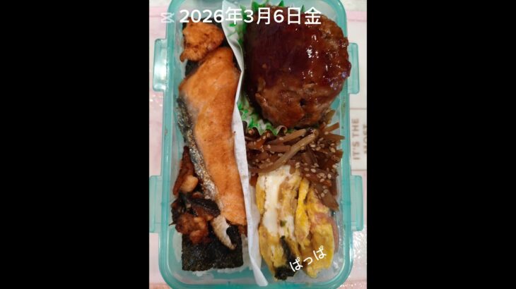#7:00#寝坊20分で完成#糖尿病弁当#パパ弁当#シャケ&ハンバーグ弁当#shorts