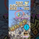 【85】#SNOMON#旦那#shorts#糖尿病#白内障#日帰り手術