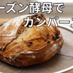 [糖尿病と腎臓病の手作りパン日記]#9 食物繊維たっぷりの全粒粉多めのレーズンとクルミのベストコンビのカンパーニュ。