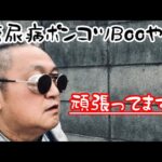ポンコツ糖尿病Booちゃん#糖尿病