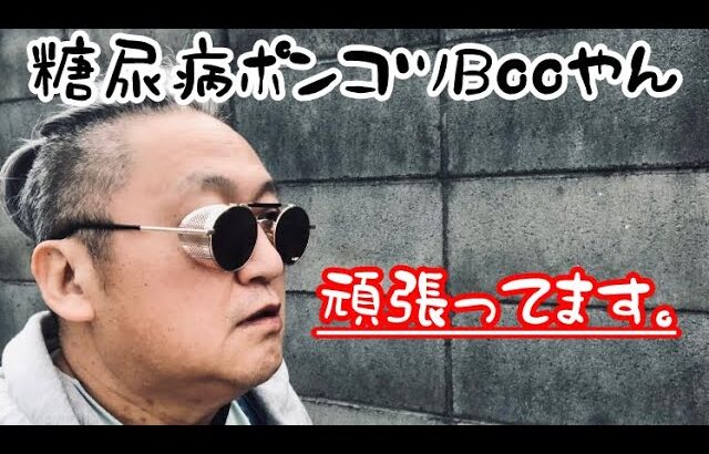 ポンコツ糖尿病Booちゃん#糖尿病