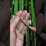 Cần tay 6m1 nft nhật #docaunhatthanhcong #nft #cancautay #daiwa #shimano