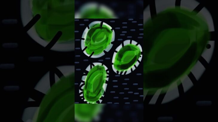 “Cioburi de iubire” – Expoziție 🎨🖼️ #art #abstract #digitalart #nft #2026election