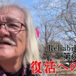 【#糖尿病 #闘病記】DAY681 バッサリ！【#散歩】2026年3月21日の記録