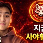HIBIKI 토큰이란? DeFi, NFT, 프리세일 완벽 해설｜암호화폐