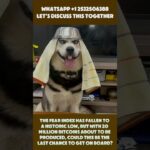 I Bought an NFT of My Breakfast (Why?) #cryptocurrency