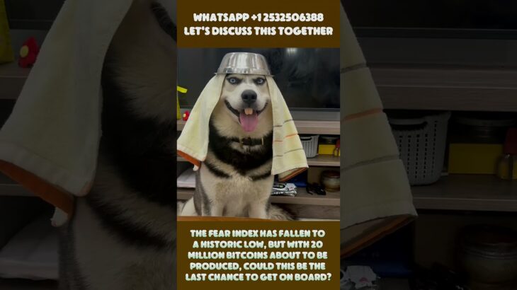 I Bought an NFT of My Breakfast (Why?) #cryptocurrency