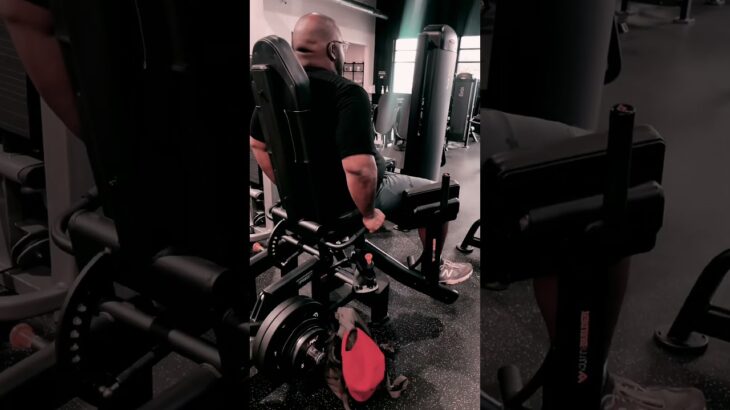 I am the NFT & the brand.