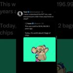 I never understood the nft era