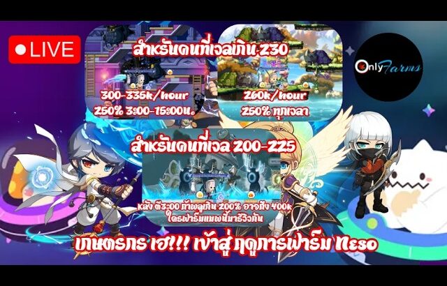 [🔴LIVE] MapleStory Universe/NFT l EP.36 Weekly Boss ทั้งวัน