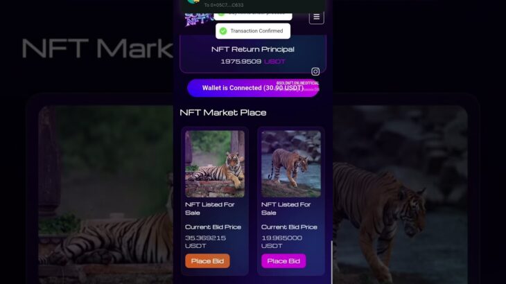 Live NFT TRADING VIDEO