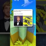 Logan Paul’s NFT Investment: What a Loss! 😱