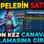 NFT PELERİN SATILDI!! SON KEZ CANAVAR MOBU YAPTIM :)