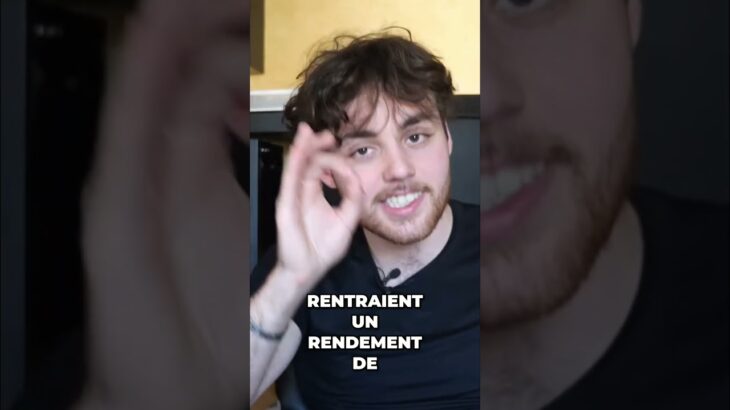 NFT Plush  l’arnaque d’ours en peluche qui a escroqué des investisseurs!