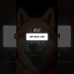 NFT Raffle DOT5050.com