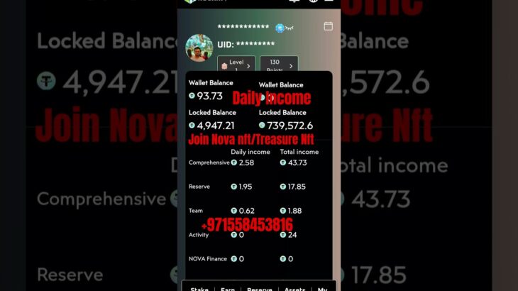 Nova nft/Treasure Nft