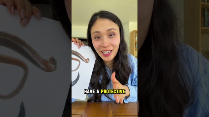 Parasites Causes Type 2 Diabetes?!