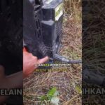 Pembersihan DAN Perawatan Instalasi Hidroponik NFT #shorts #education #hidroponik