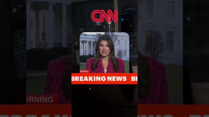 The Hidden Truth About This Solana NFT Mint #Solana #SOL #NFT