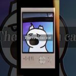 The crucian cat – first nft drop