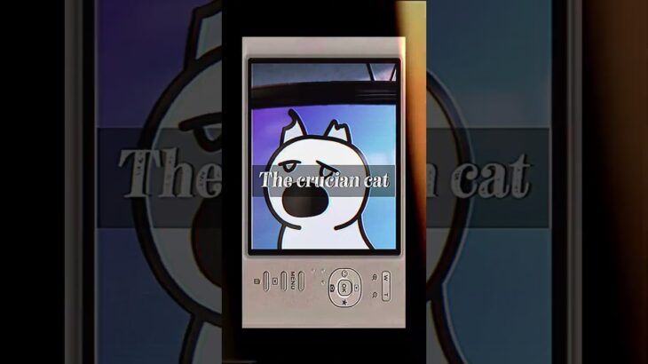 The crucian cat – first nft drop